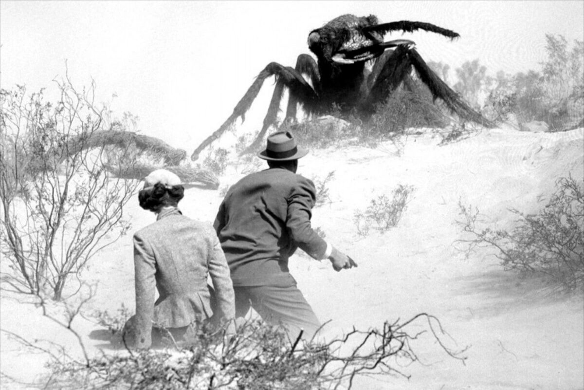 Still of a giant ant from the 1954 film THEM