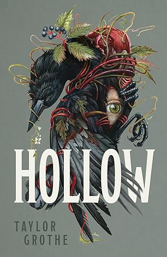 Book cover for "Hollow" in gray and dark colors.