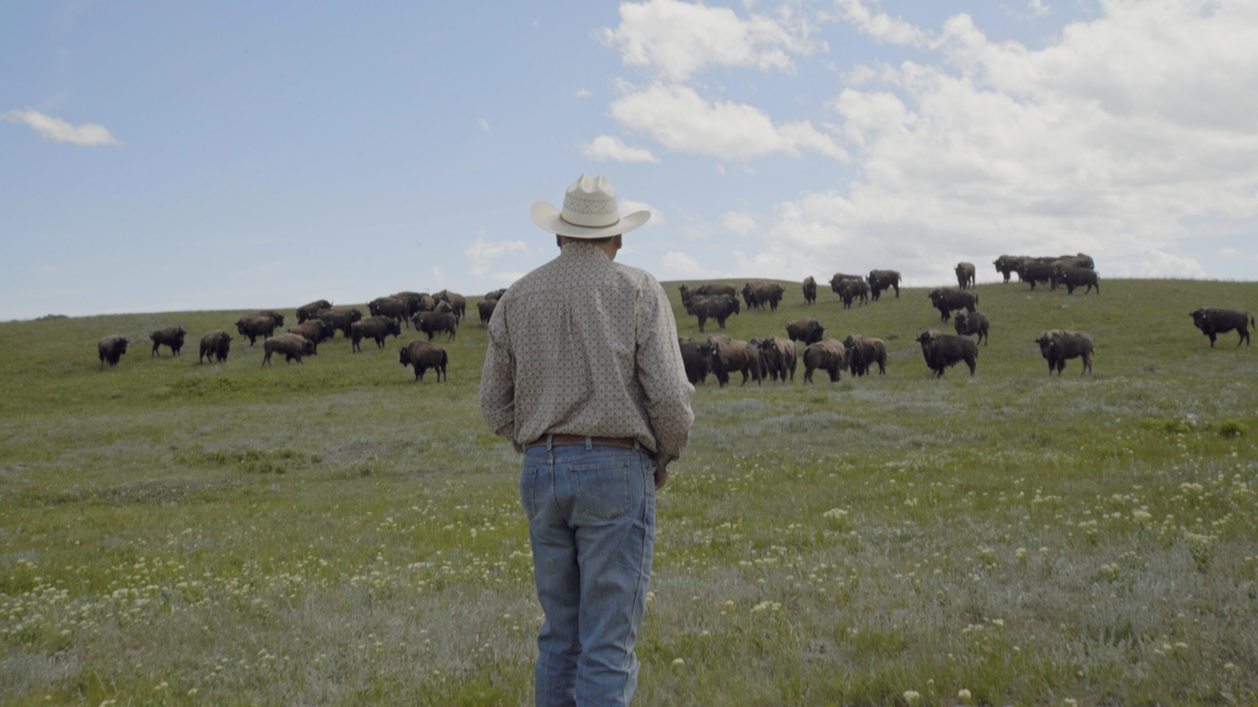 Bring Them Home - Ervin Carlson with Montana Tribal Herd