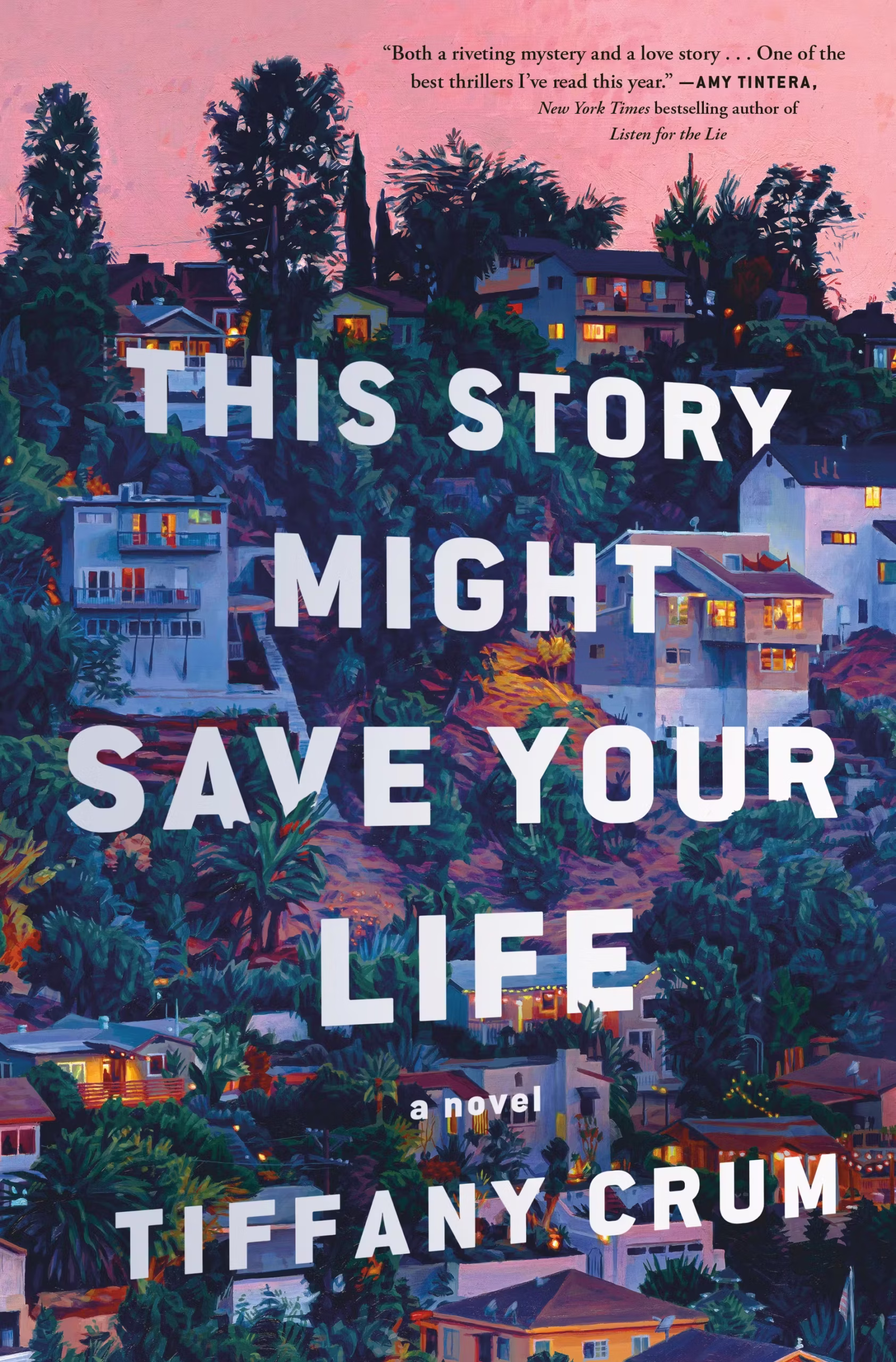 Hillside houses and McMansions in dusk lightning, with the book title "This Story Might Save Your Life" prominently centered in big bold white letters, and "A Novel" in smaller white letters at the bottom.