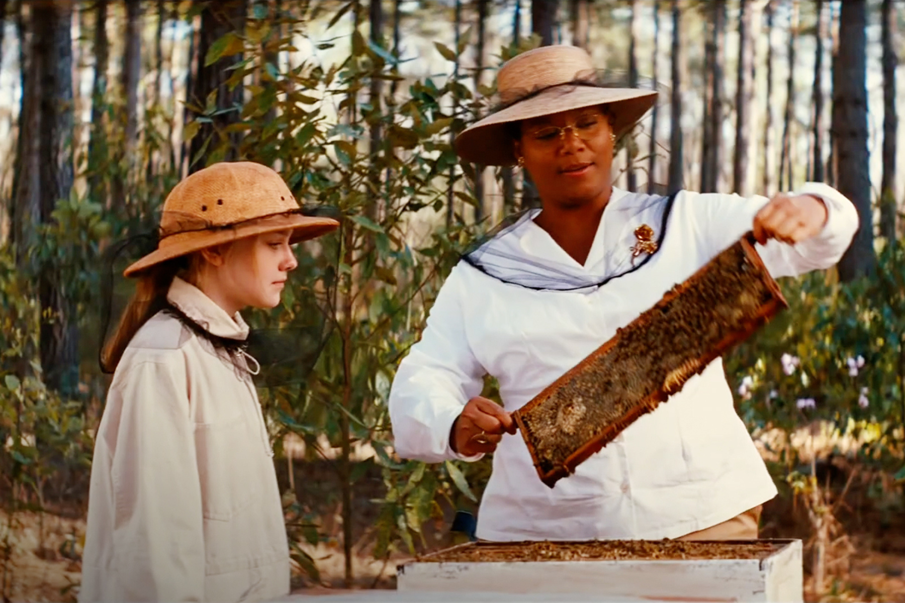 Queen Latifah as August Boatwright holding a honeycomb while teaching a young girl in The Secret Life of Bees
