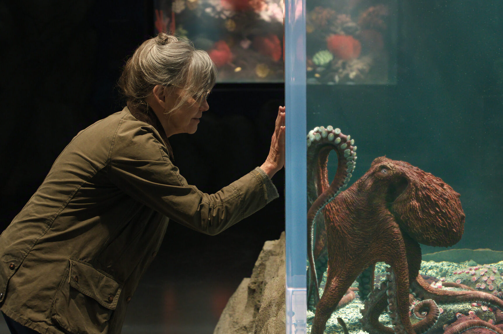 Remarkably Bright Creatures Trailer Explores Emotional Connection Through Peculiar Companions