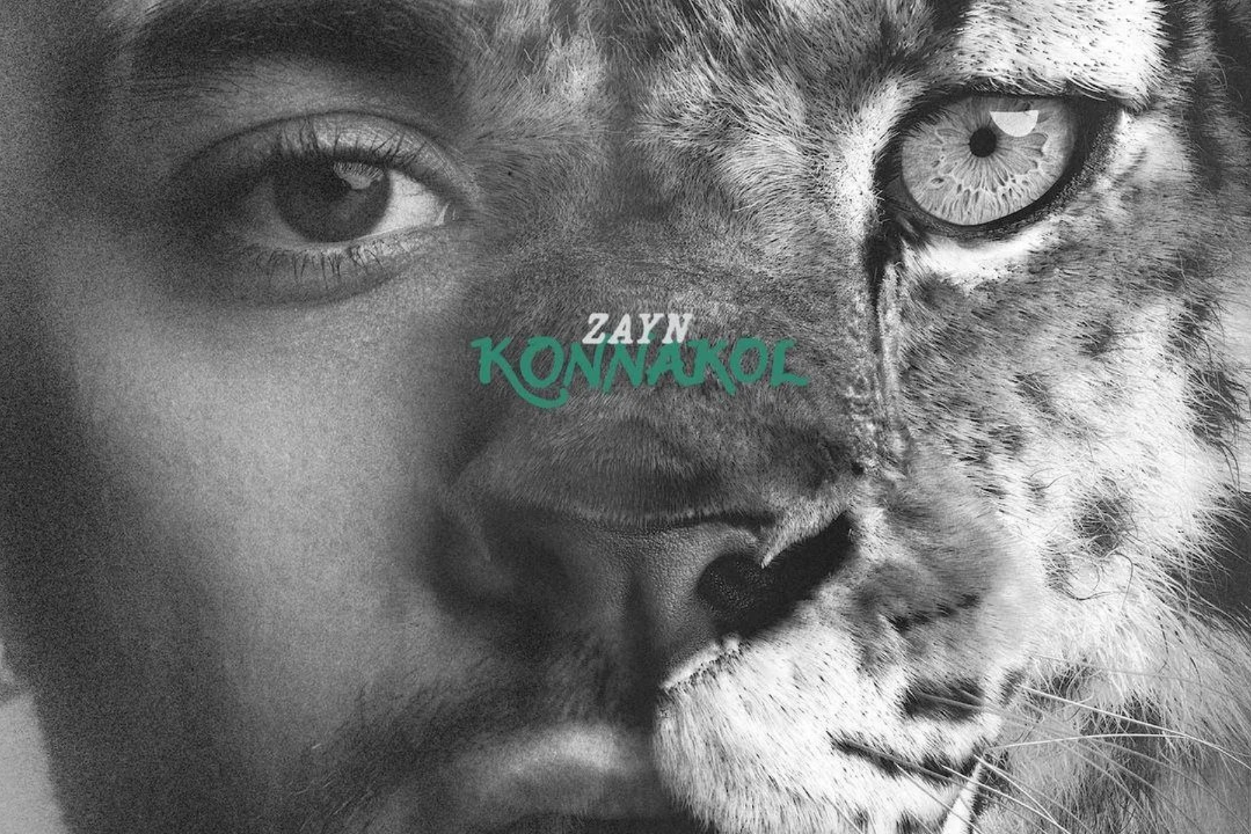 ZAYN KONNAKOL Album Review: Staying in a Familiar Lane Black-and-white album cover showing half of ZAYN’s face blended with the face of a tiger, with “ZAYN KONNAKOL” text centered.