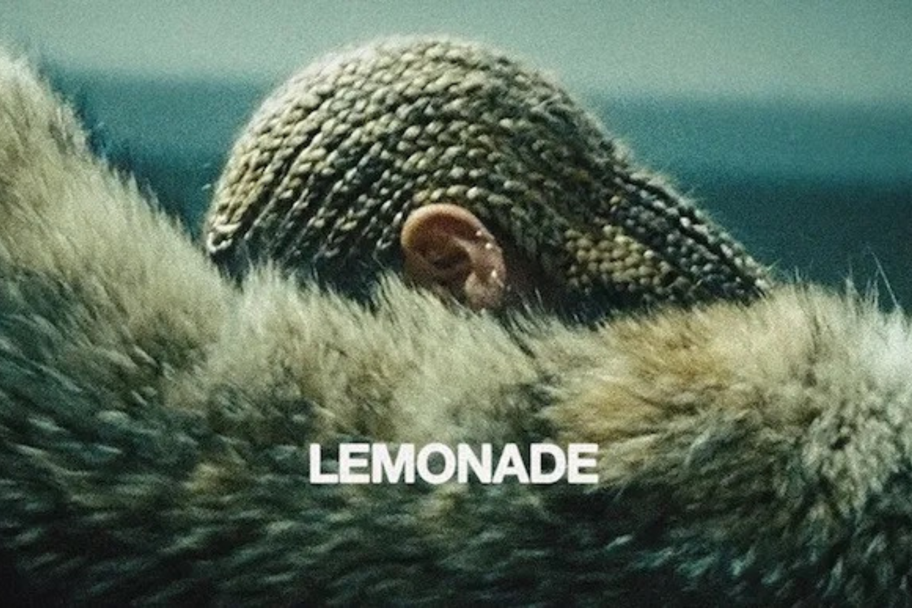 Every Beyoncé Album – Ranked! Close-up of a furry animal's head with gray textured fur and a visible ear, teal background, and the word 'LEMONADE' at the bottom.