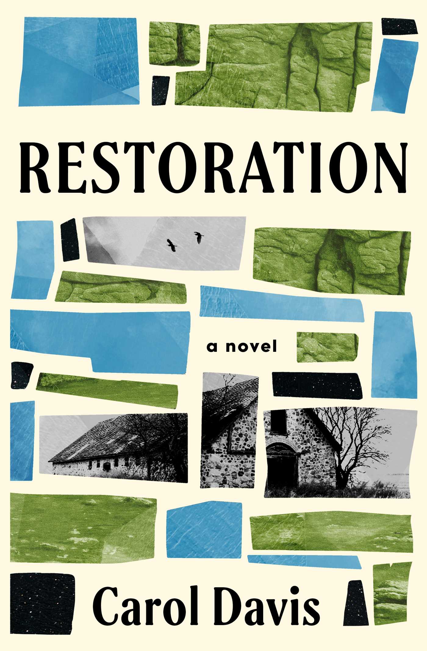restoration-9781959524199_hr - Eulalie Magazine Restoration Review: This Emotional, Detailed Story Ultimately Feels Unbalanced